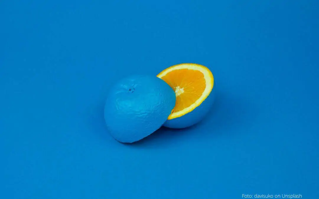 Orange mit blauer Schale als Beispiel für learning design